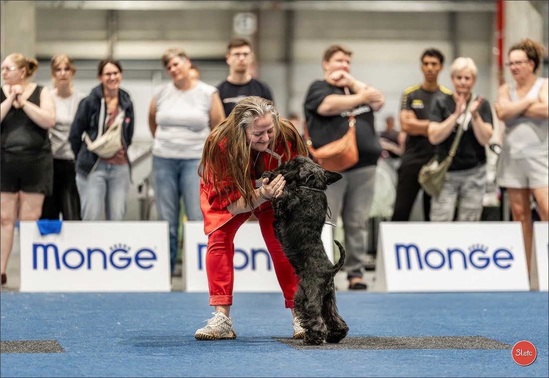 Dog Show Liege 🇧🇪 2026