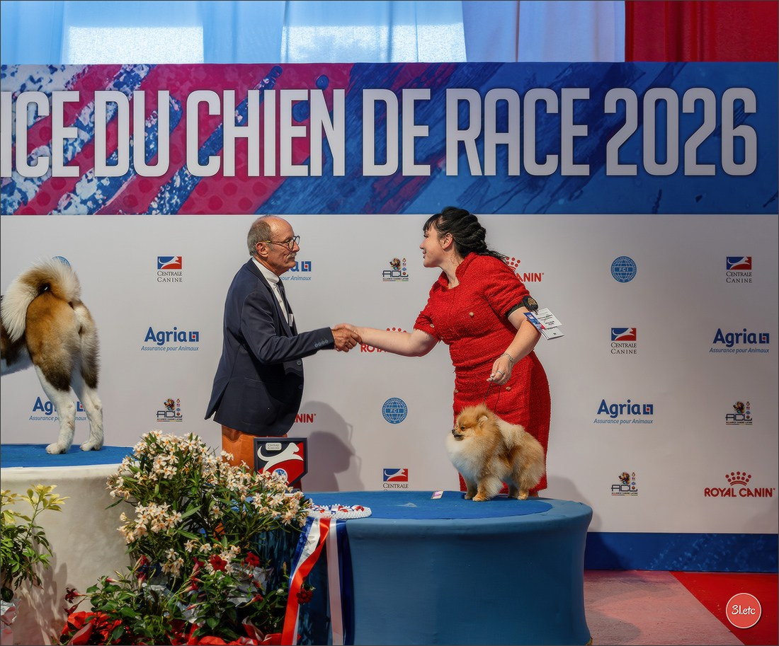 Le Championnat de France 2026 à   🇫🇷  Montluçon !