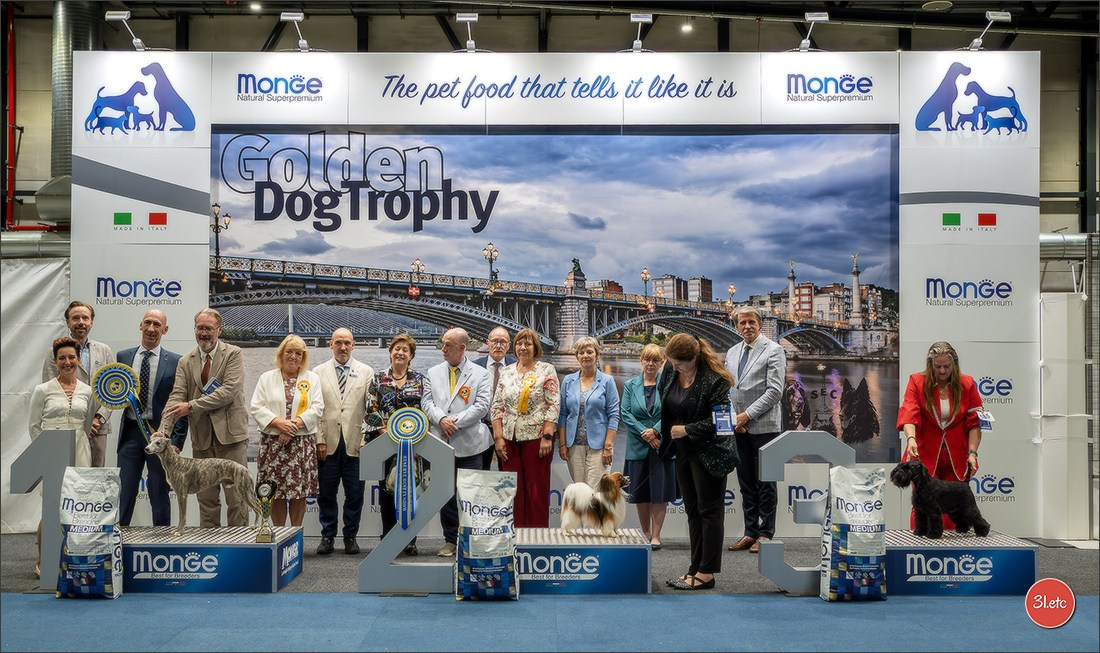 Dog Show Liege 🇧🇪 2026