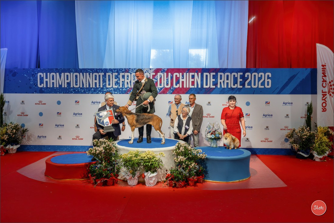Le Championnat de France 2026 à   🇫🇷  Montluçon !