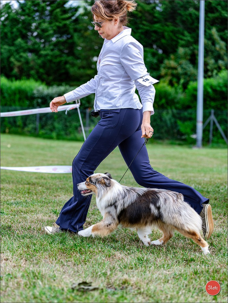 R.E. Berger Blanc Suisse - Beinheim 🇫🇷 (67)