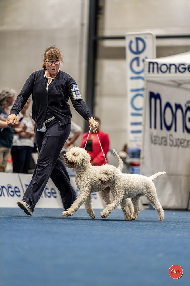 Dog Show Liege 🇧🇪 2026