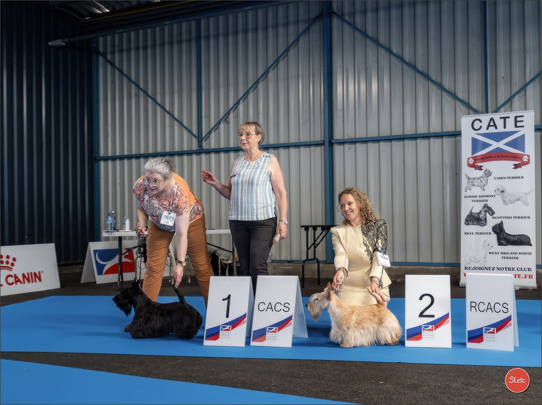 Le Championnat de France 2026 à   🇫🇷  Montluçon !