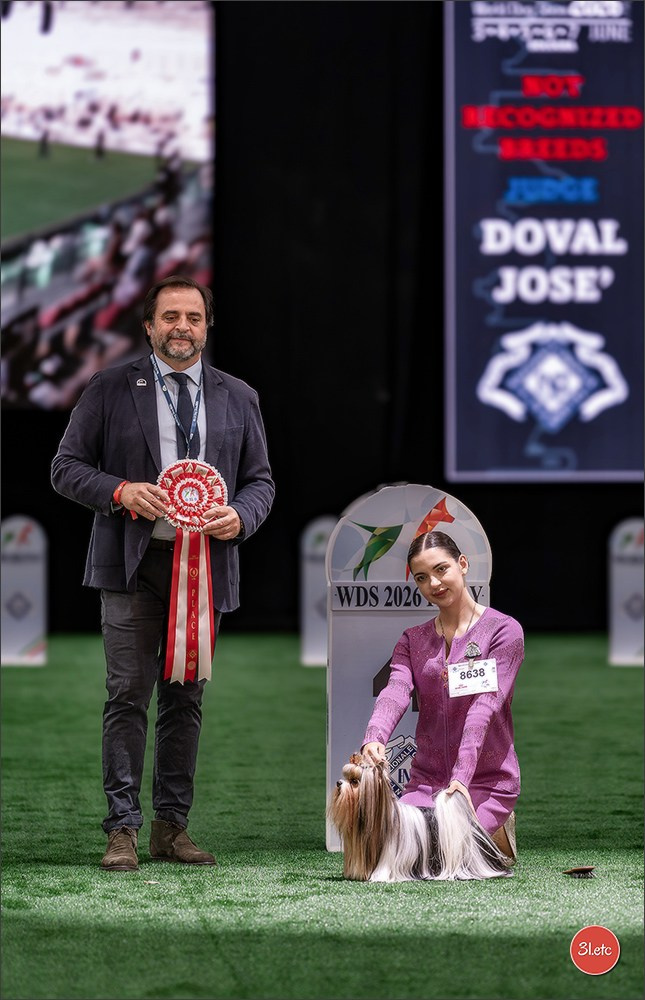 WDS 2026  🇮🇹  Bologna