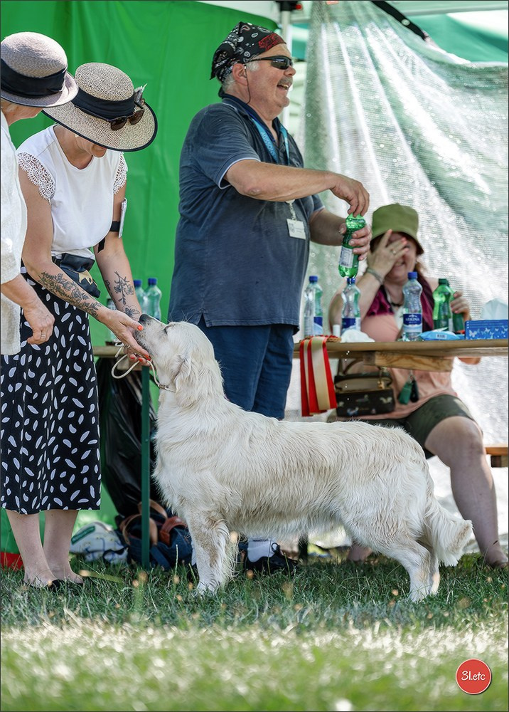 🇨🇭 Aarau Dog Show 2026