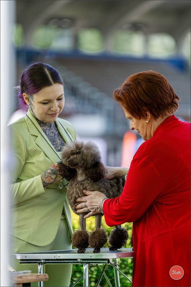 🇨🇭 Aarau Dog Show 2026