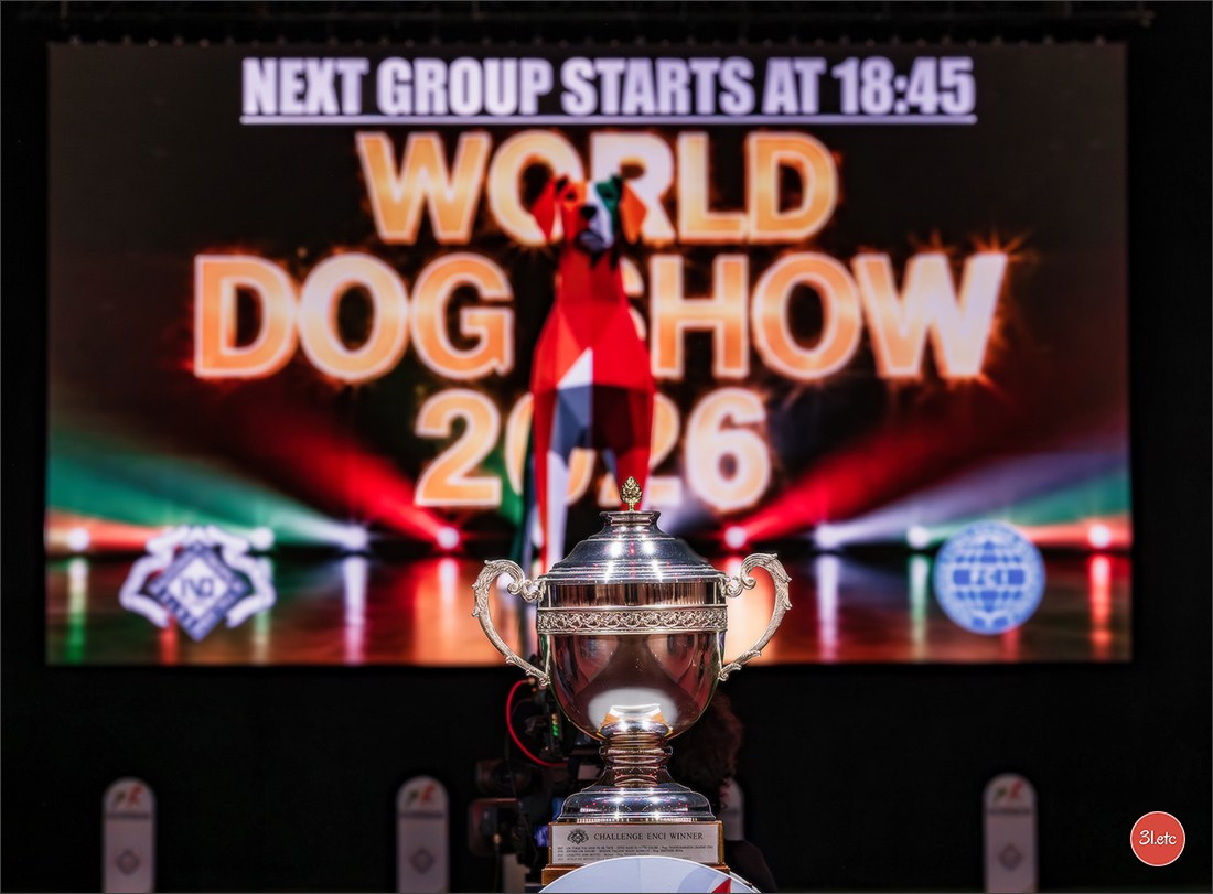WDS 2026  🇮🇹  Bologna