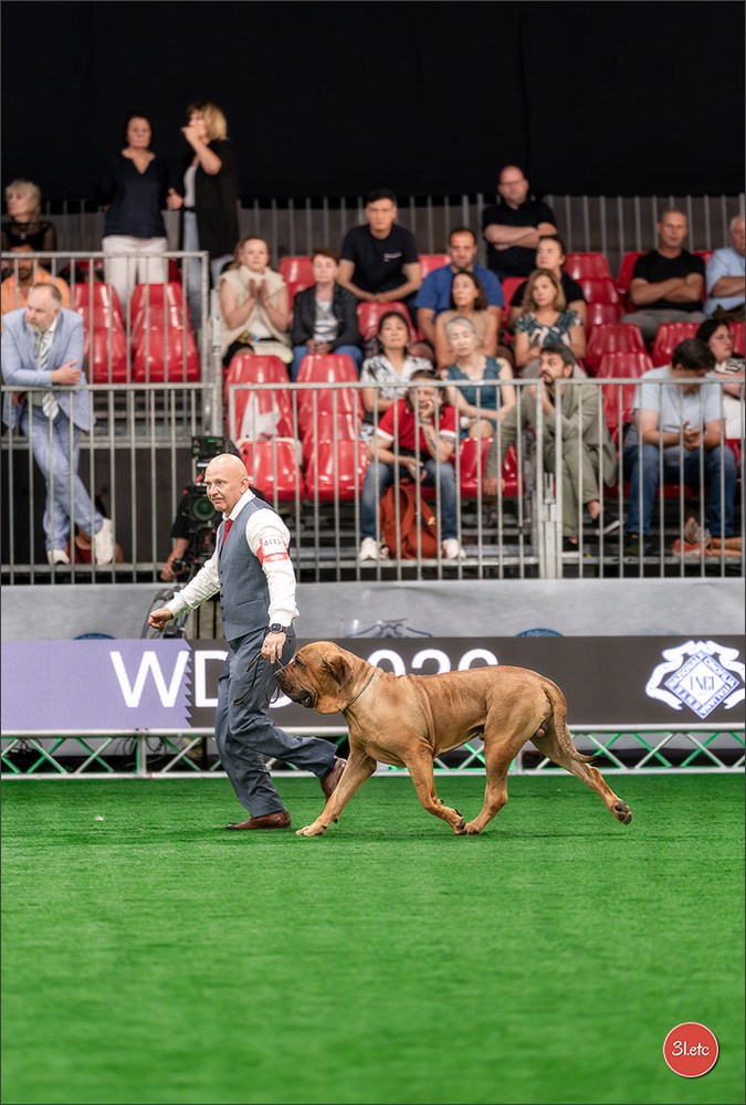 WDS 2026  🇮🇹  Bologna