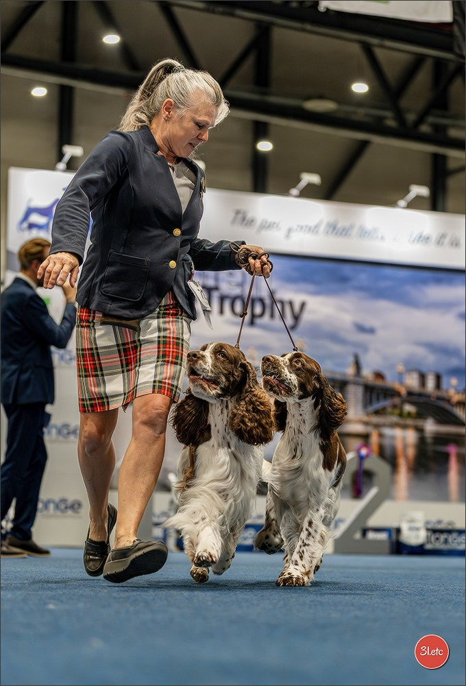 Dog Show Liege 🇧🇪 2026