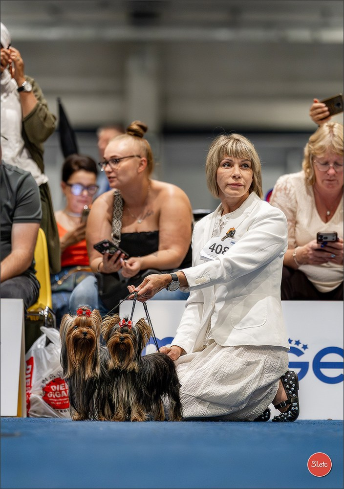 Dog Show Liege 🇧🇪 2026