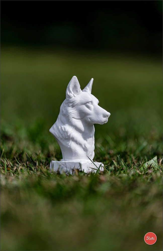 R.E. Berger Blanc Suisse - Beinheim 🇫🇷 (67)
