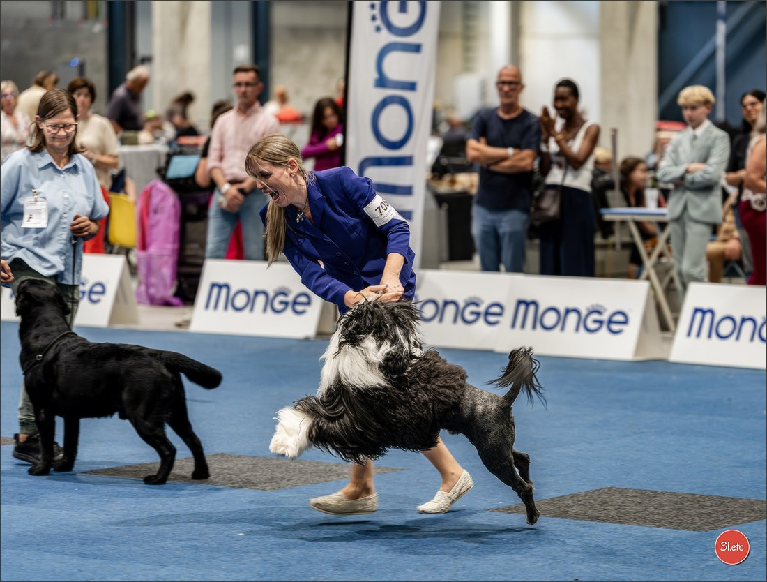 Dog Show Liege 🇧🇪 2026