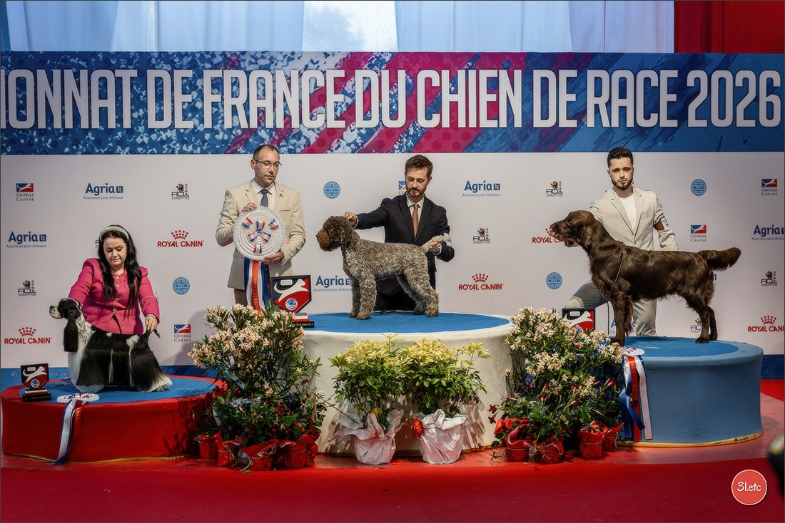 Le Championnat de France 2026 à   🇫🇷  Montluçon !