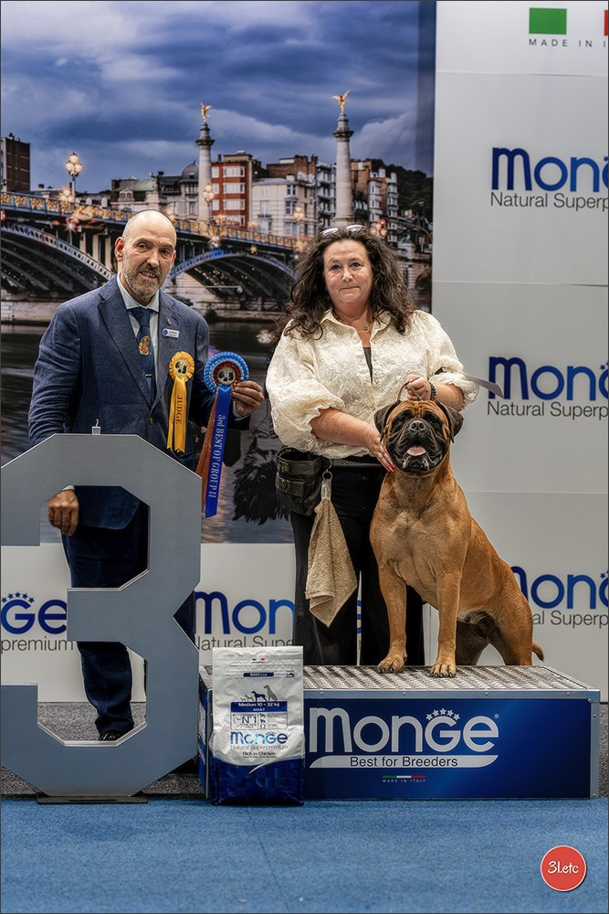 Dog Show Liege 🇧🇪 2026