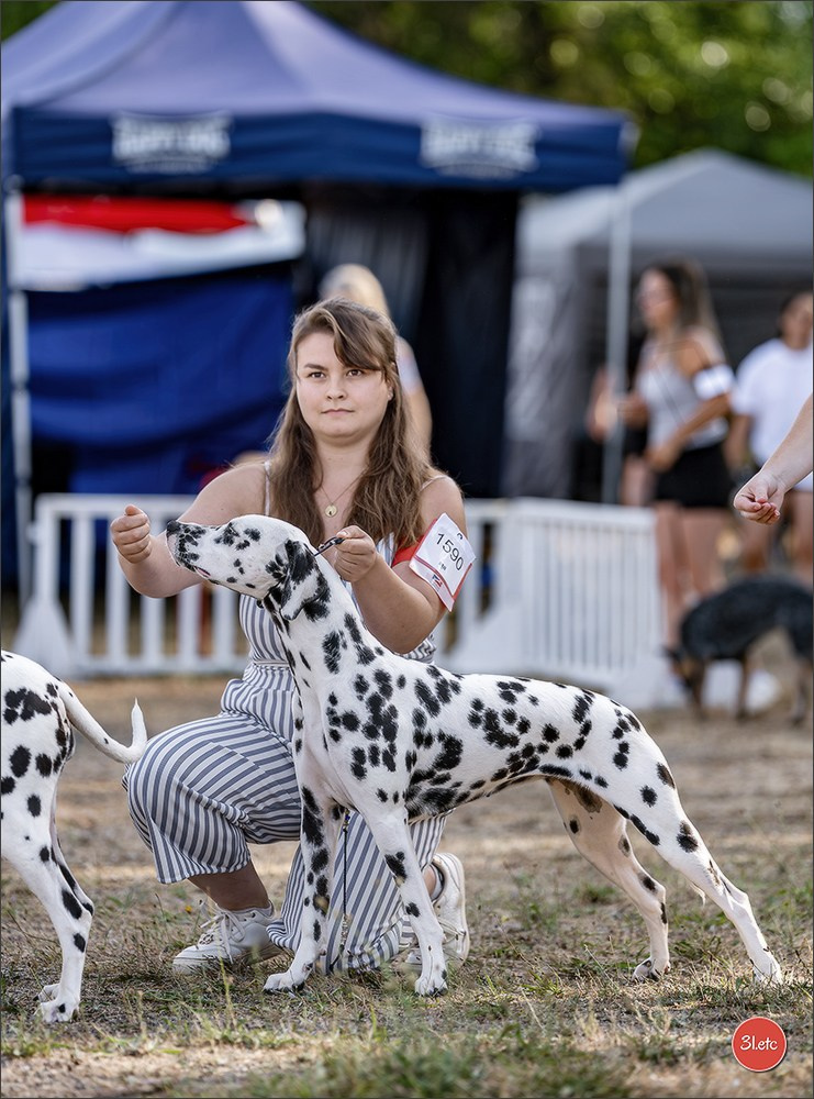 Le Championnat de France 2026 à   🇫🇷  Montluçon !