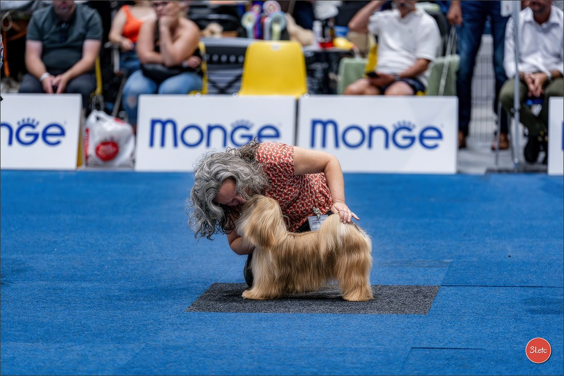 Dog Show Liege 🇧🇪 2026