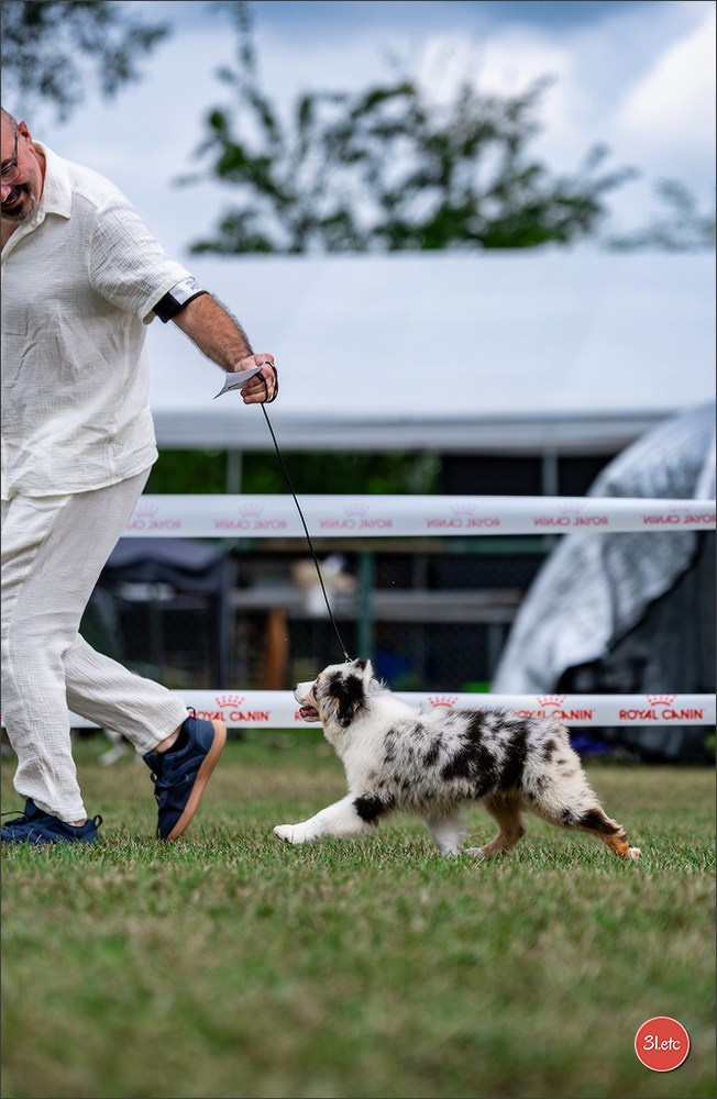 R.E. Berger Blanc Suisse - Beinheim 🇫🇷 (67)