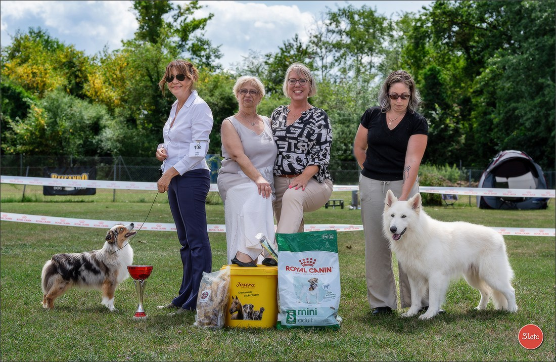 R.E. Berger Blanc Suisse - Beinheim 🇫🇷 (67)