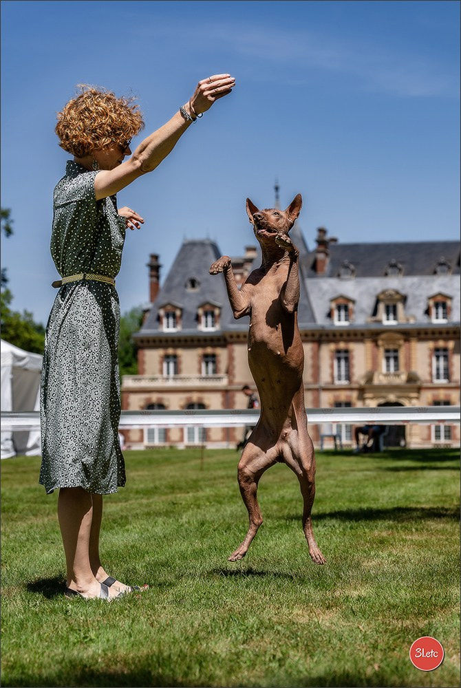Photographie animalière. Photographe à Strasbourg | Les animaux, Portraits, Studio, Événements
