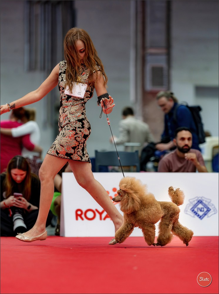 WDS 2026  🇮🇹  Bologna