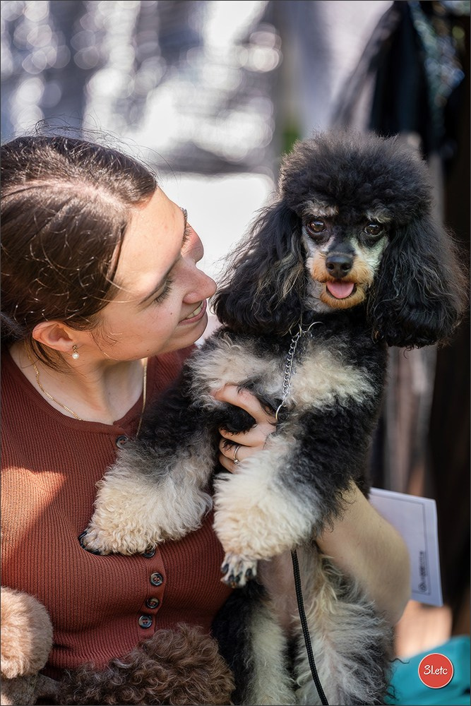 🇨🇭 Aarau Dog Show 2026