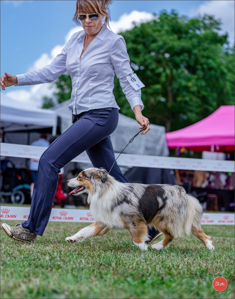 R.E. Berger Blanc Suisse - Beinheim 🇫🇷 (67)