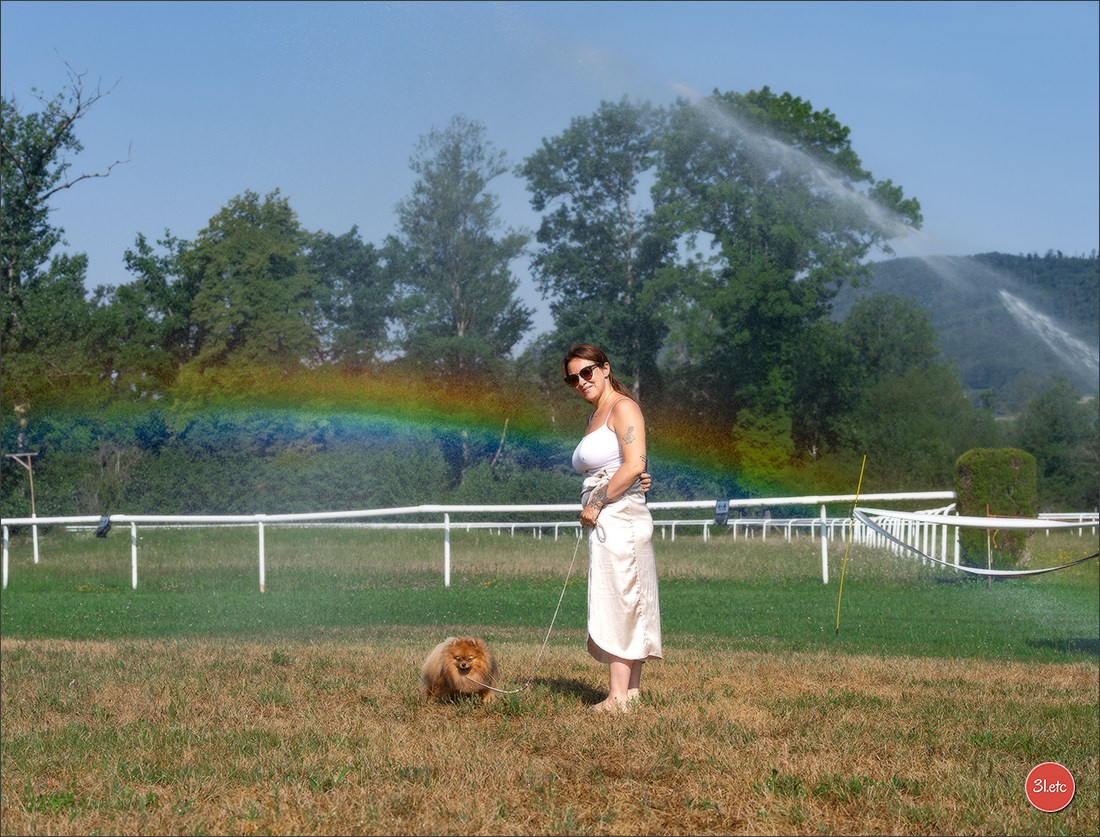 🇨🇭 Aarau Dog Show 2026