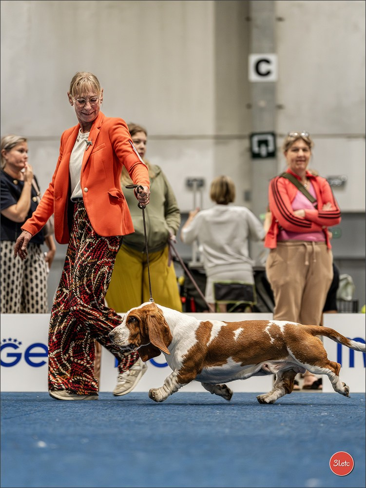 Dog Show Liege 🇧🇪 2026