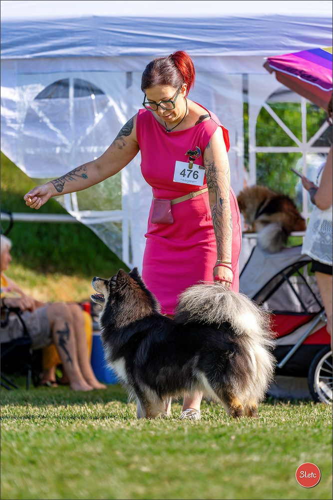 🇨🇭 Aarau Dog Show 2026