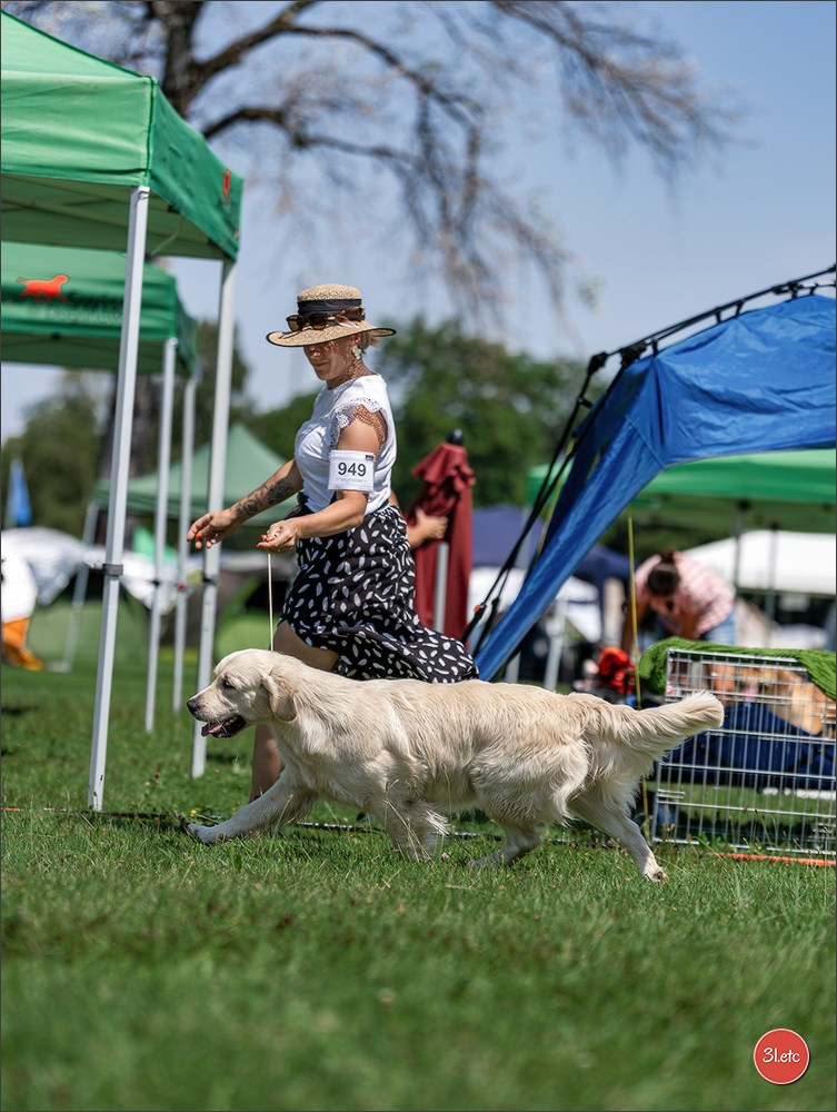 🇨🇭 Aarau Dog Show 2026