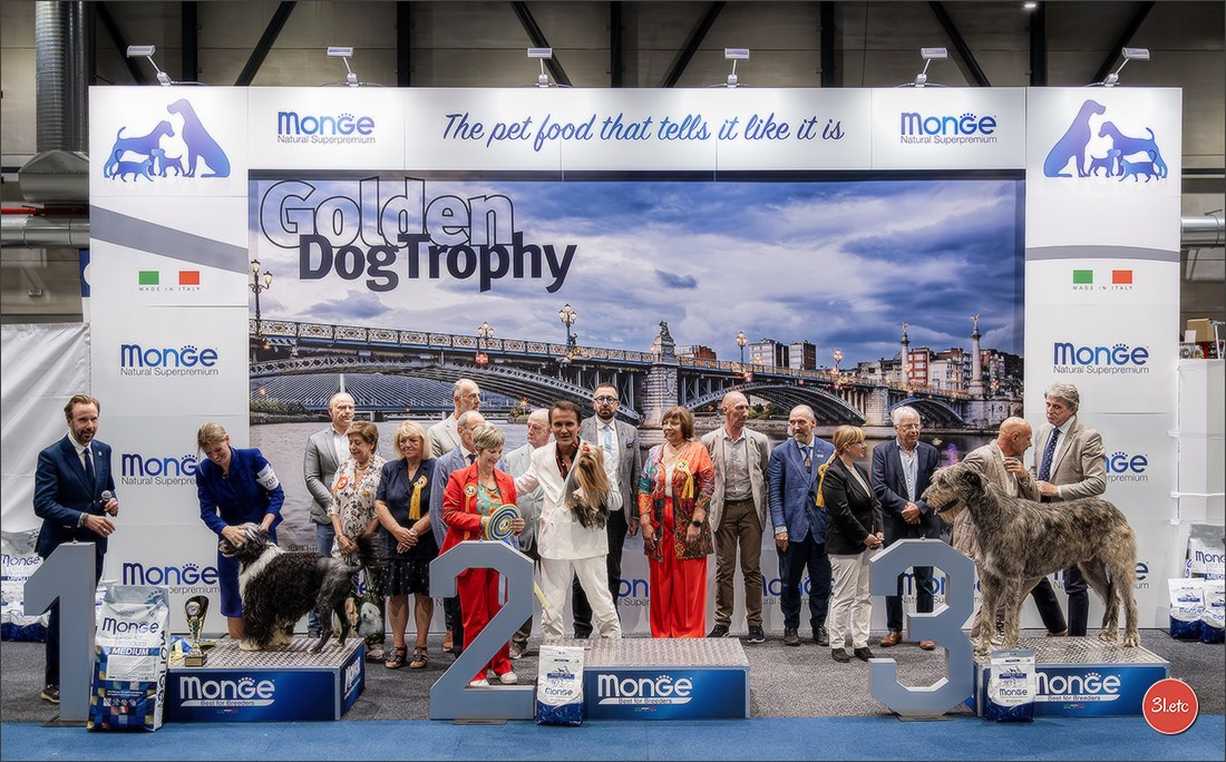 Dog Show Liege 🇧🇪 2026