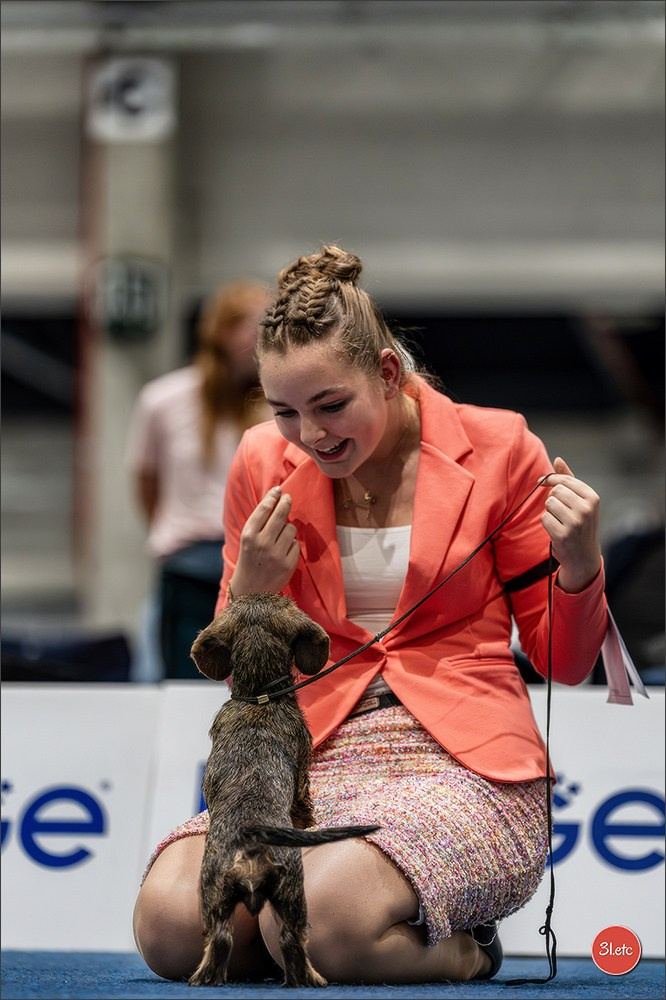 Dog Show Liege 🇧🇪 2026
