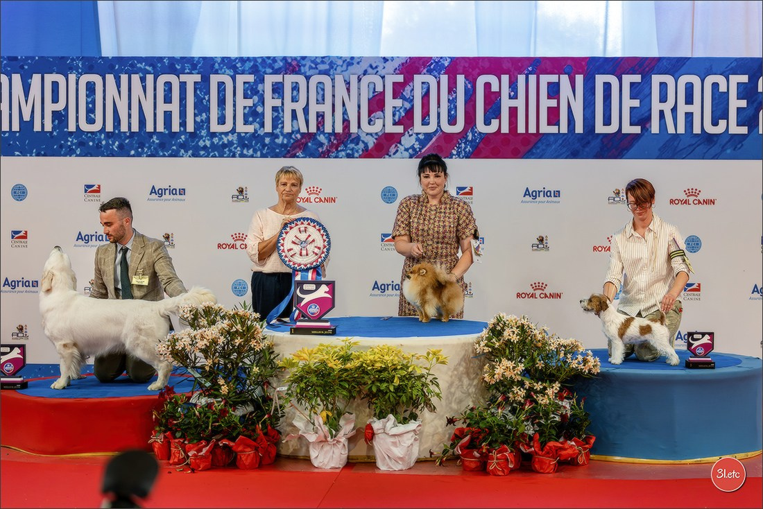 Le Championnat de France 2026 à   🇫🇷  Montluçon !