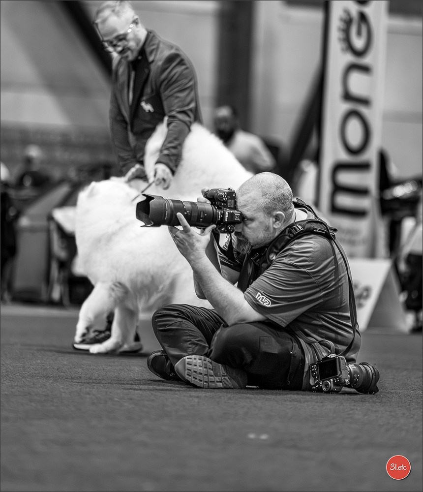 Dog Show Liege 🇧🇪 2026