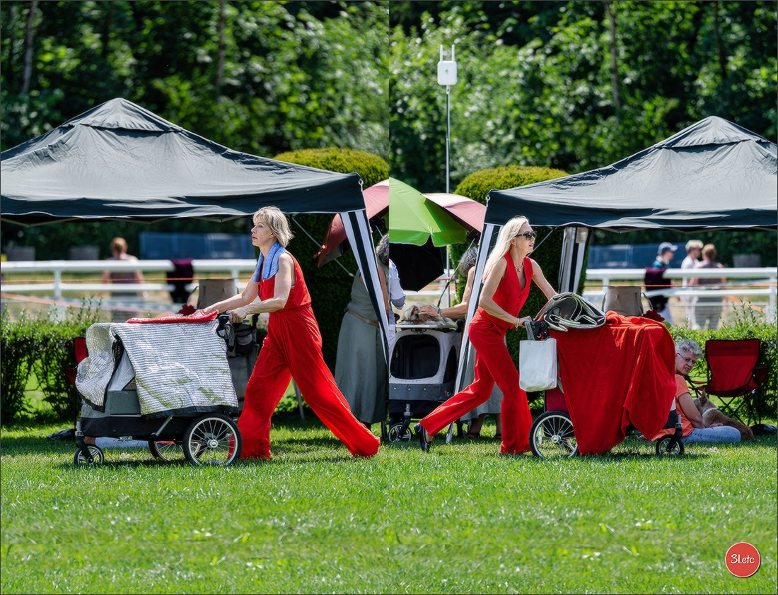 🇨🇭 Aarau Dog Show 2026