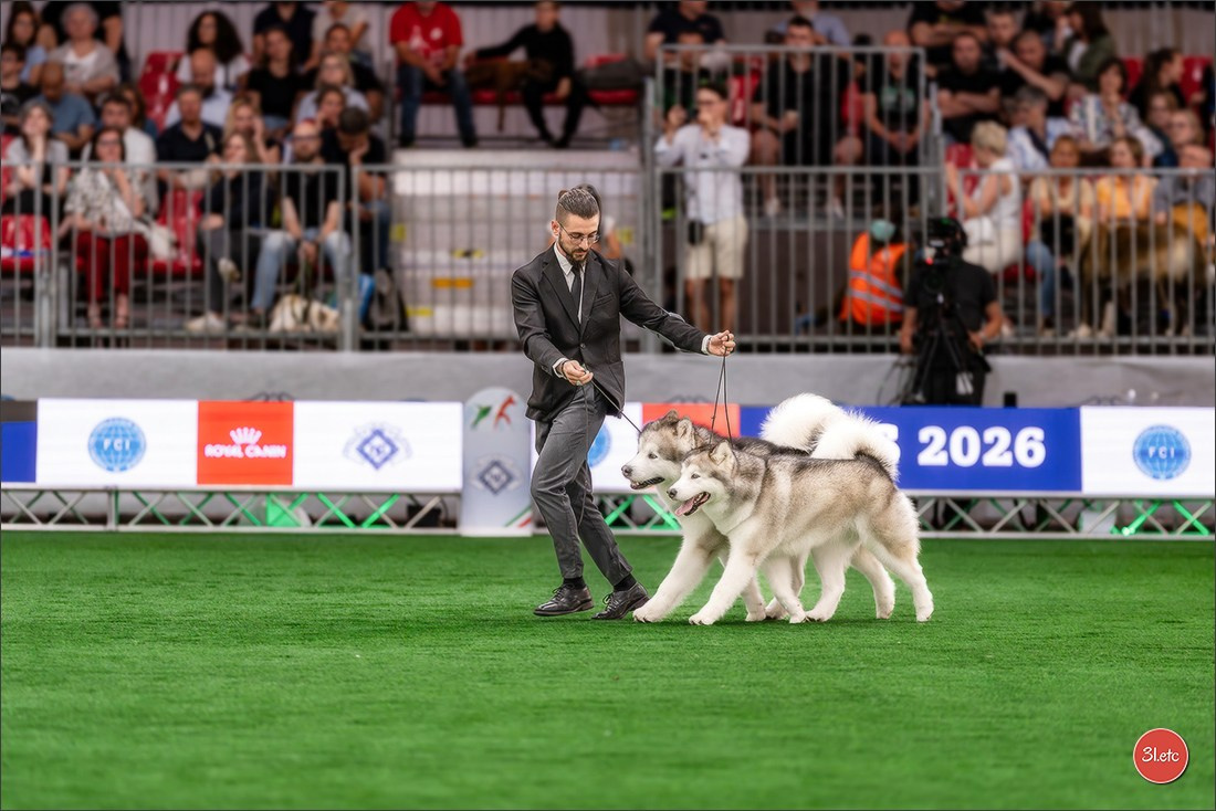 WDS 2026  🇮🇹  Bologna