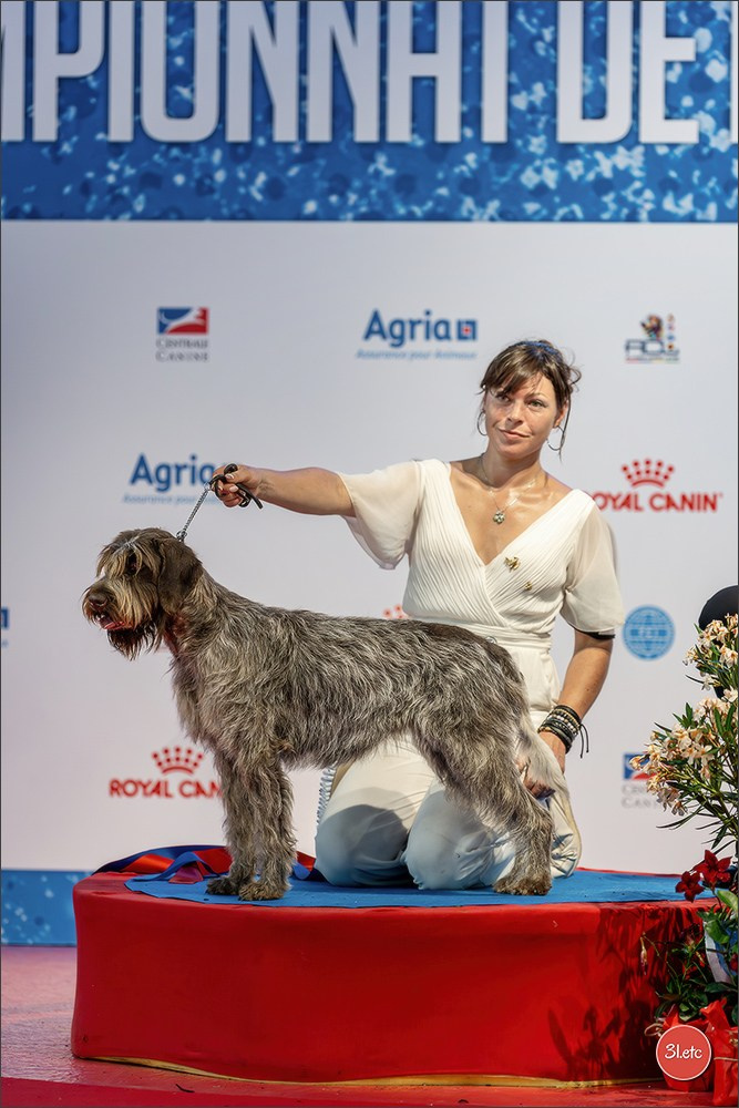 Le Championnat de France 2026 à   🇫🇷  Montluçon !