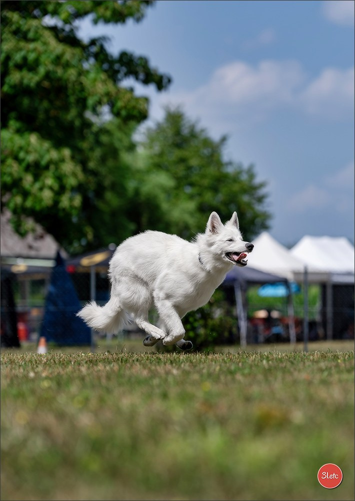 R.E. Berger Blanc Suisse - Beinheim 🇫🇷 (67)