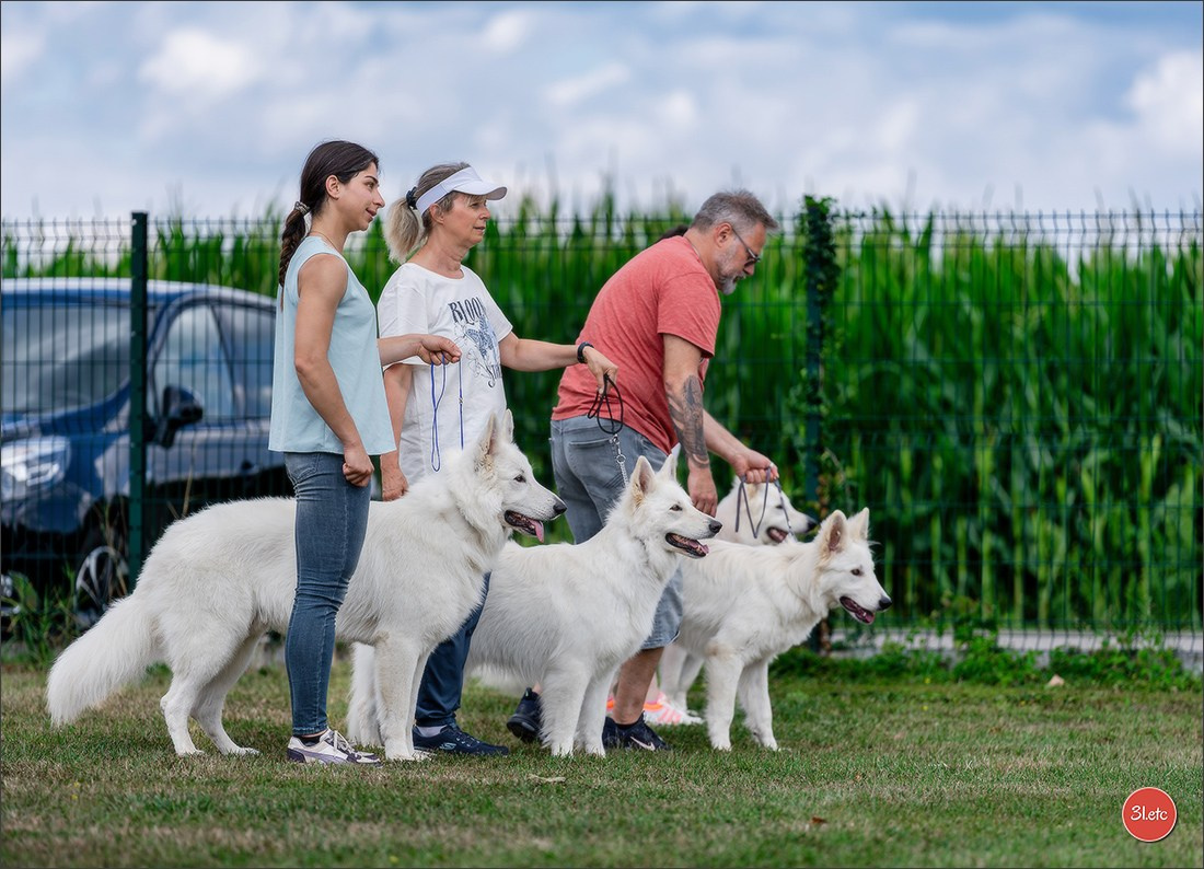 R.E. Berger Blanc Suisse - Beinheim 🇫🇷 (67)