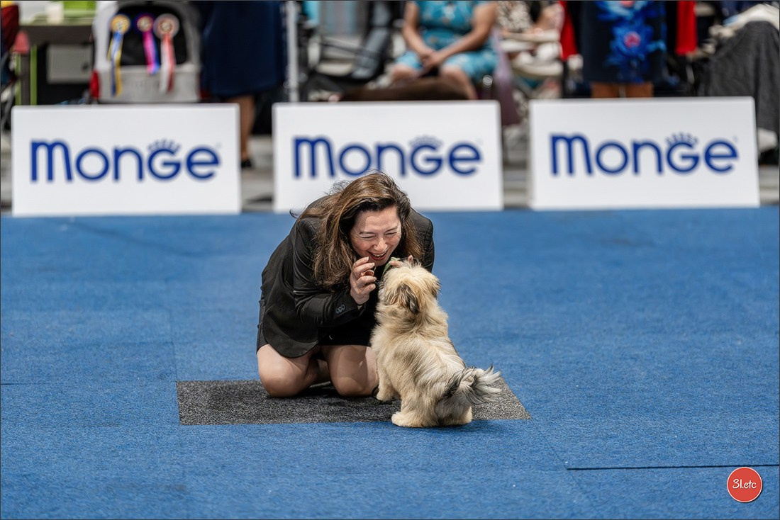 Dog Show Liege 🇧🇪 2026