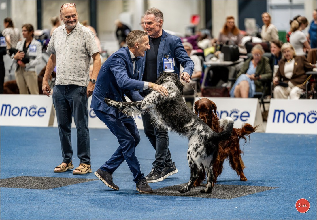 Dog Show Liege 🇧🇪 2026