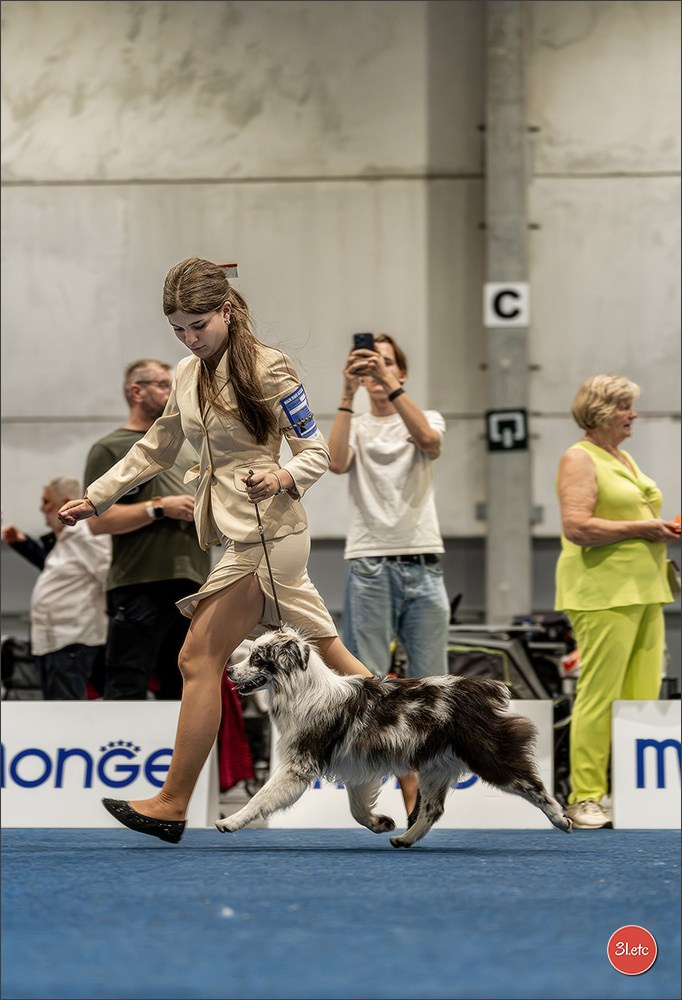 Dog Show Liege 🇧🇪 2026