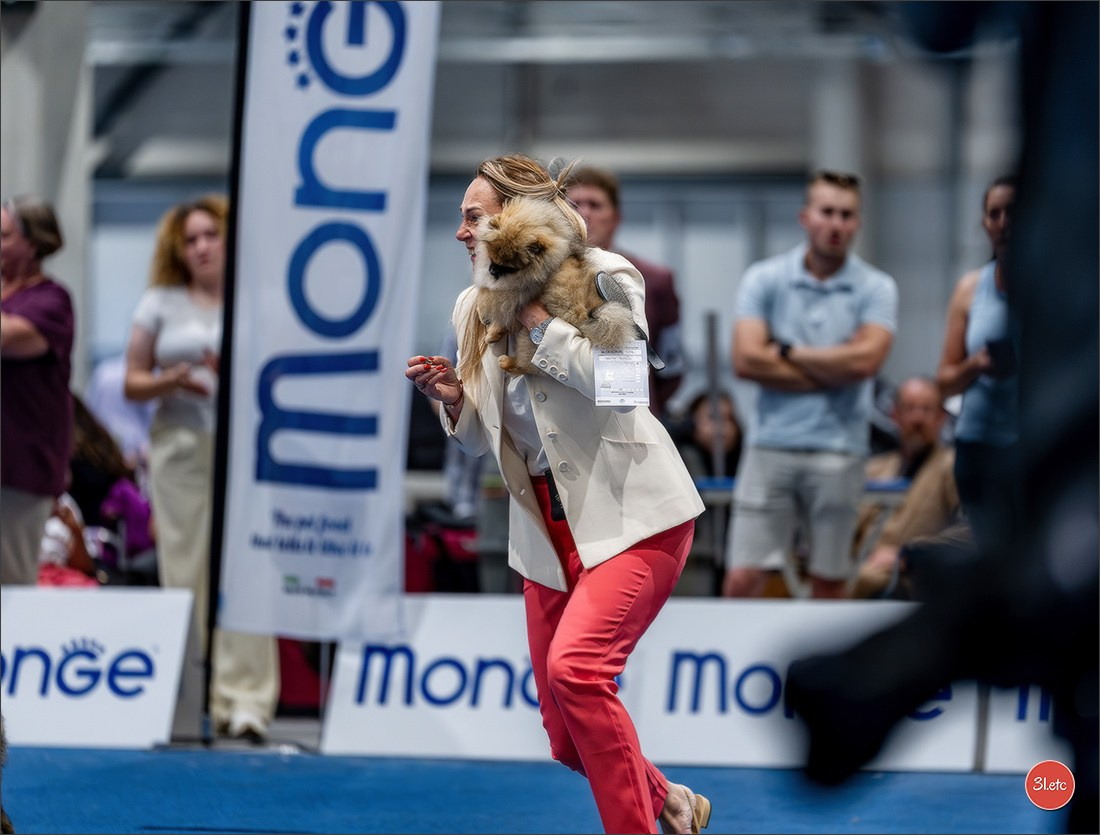 Dog Show Liege 🇧🇪 2026