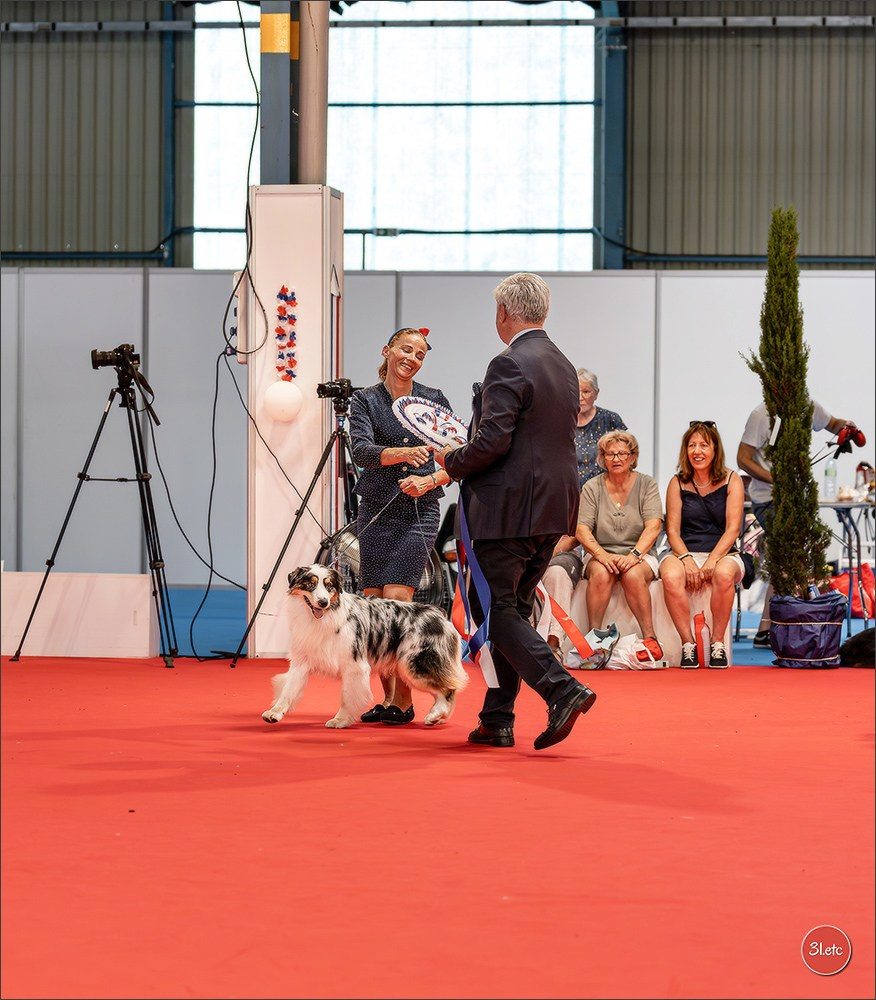 Le Championnat de France 2026 à   🇫🇷  Montluçon !