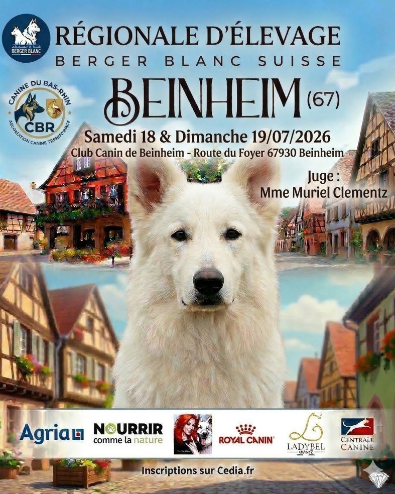 R.E. Berger Blanc Suisse - Beinheim 🇫🇷 (67)