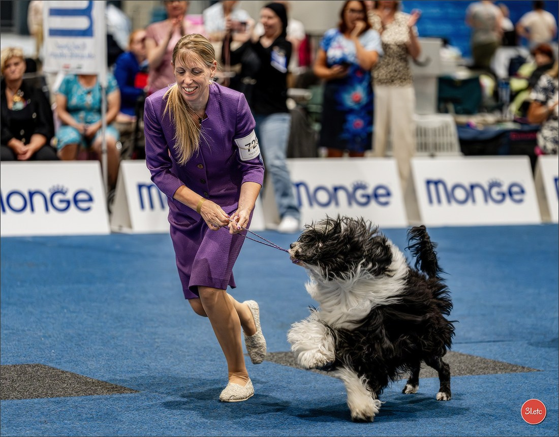 Dog Show Liege 🇧🇪 2026