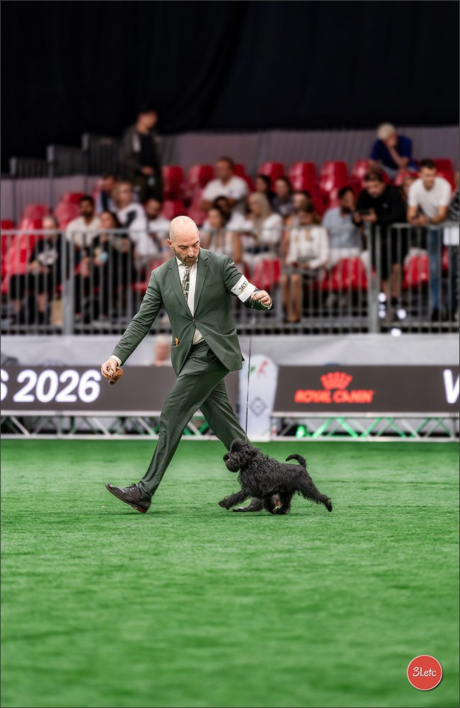 WDS 2026  🇮🇹  Bologna