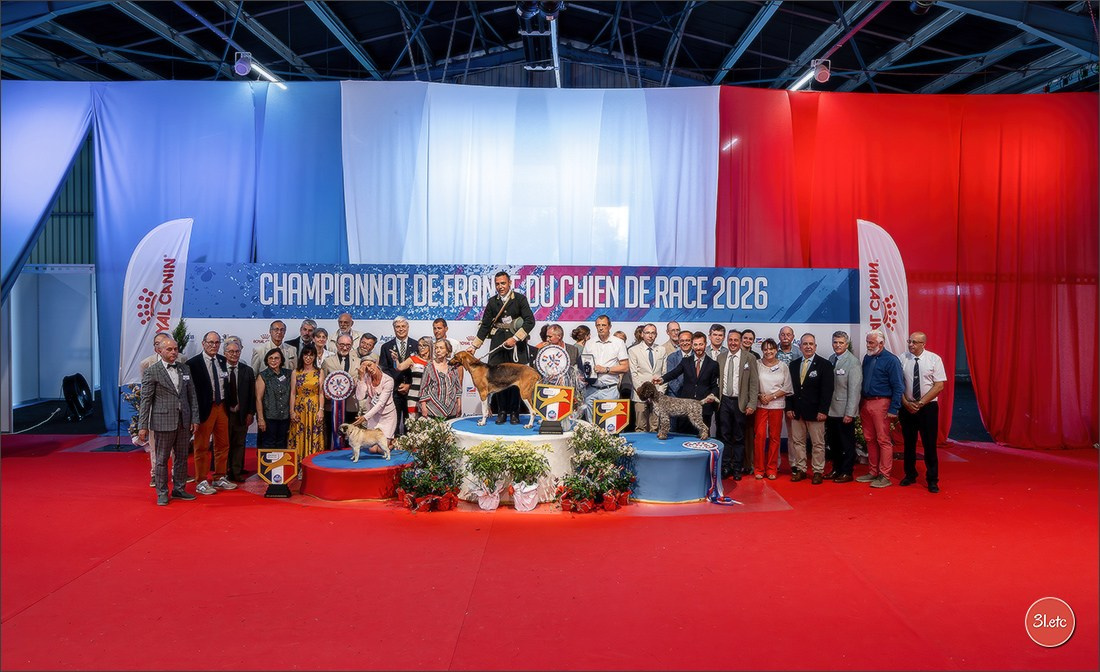 Le Championnat de France 2026 à   🇫🇷  Montluçon !