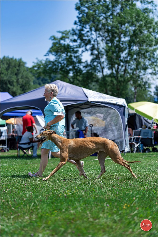 🇨🇭 Aarau Dog Show 2026