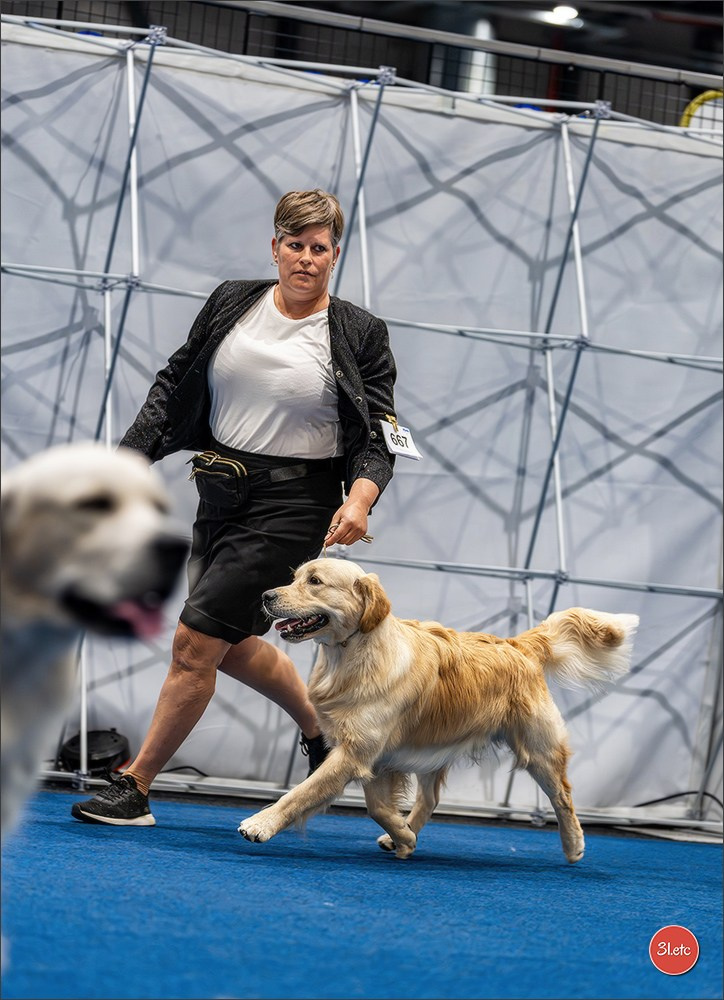 Dog Show Liege 🇧🇪 2026